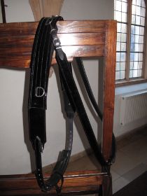 197.JPG