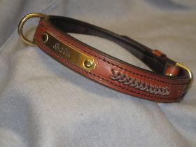 Hundehalsband (2).JPG