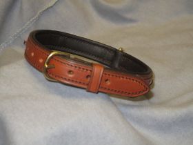 Hundehalsband (3).JPG