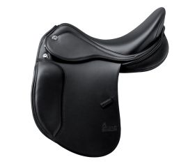 Prestige Lucky Dressage.JPG