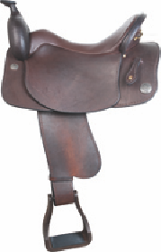 IMG_0991.png
