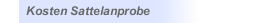 Kosten Sattelanprobe